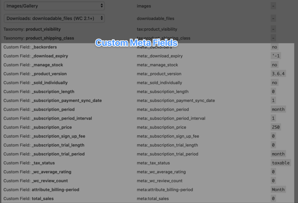 custom-meta-fields